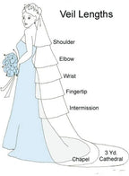 Sequined Lace Bridal Veil