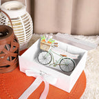 Luxury Magnetic Gift Box
